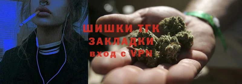 Каннабис OG Kush  Полтавская 